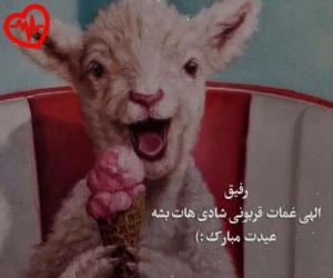 دانلود آهنگ آهنگ اسمتو رو برگای گلا نوشتم از شاهین زین العابدین زاده به همراه متن ترانه