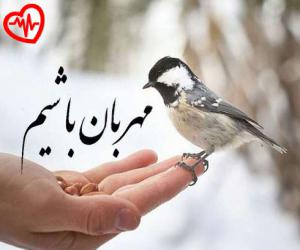 دانلود آهنگ آهنگ کی میگیره جاتو رو تنم کبودی بوسه هاتو از شاهین نجفی به همراه متن ترانه