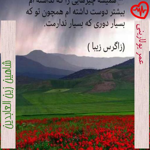 آهنگ عمر یولارینی از شاهین زین العابدین به همراه متن ترانه آهنگ عمر یولارینی از شاهین زین العابدین به همراه متن ترانه