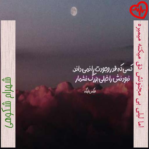 آهنگ اما لیلی بی مجنونش دق میکنه میمیره از شهرام شکوهی به همراه متن ترانه آهنگ اما لیلی بی مجنونش دق میکنه میمیره از شهرام شکوهی به همراه متن ترانه