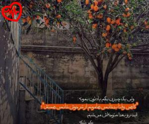 دانلود آهنگ آهنگ پنجره ها رو وا کن عشقو بیار تو خونه از شهرام صولتی به همراه متن ترانه - کاور اصلی
