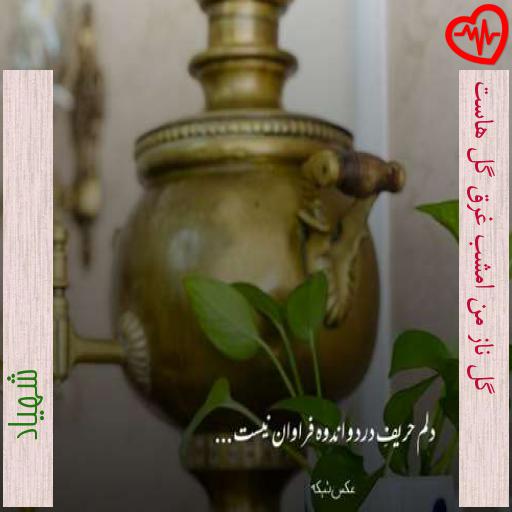 آهنگ گل ناز من امشب غرق گل هاست از شهیاد به همراه متن ترانه آهنگ گل ناز من امشب غرق گل هاست از شهیاد به همراه متن ترانه