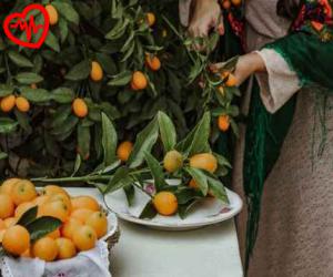 کاور آهنگ In Hame Ashofte Hali از Shakila به همراه متن ترانه اثر Shakila