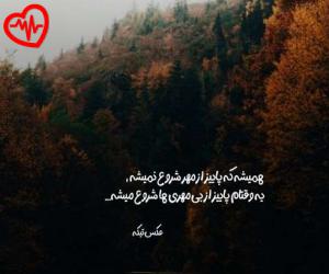 کاور آهنگ  شارومین دلتنگم از Sharomin به همراه متن ترانه اثر Sharomin