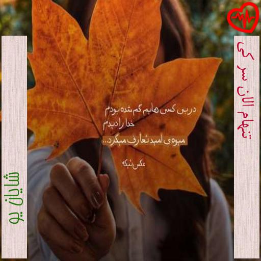 آهنگ تنهام الان سر کی از شایان یو به همراه متن ترانه