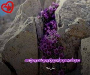 دانلود آهنگ آهنگ  من بی تو میمیرم مامان از Shayan Yo به همراه متن ترانه