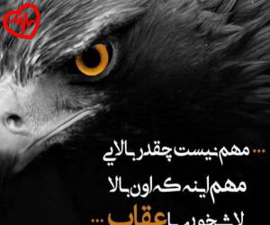 دانلود آهنگ آهنگ با من هیچکس مهربون نبود ریمیکس از شایع به همراه متن ترانه - کاور اصلی