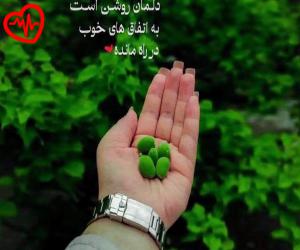 کاور آهنگ  شدی فرسنگا تو دور دلم تنگ تو با اون از Shodi Farsanga To به همراه متن ترانه اثر Shodi Farsanga To