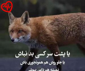 دانلود آهنگ آهنگ عشق ایله نازیم او داغلمیش ساچی هوررم از سیامک هاشمی به همراه متن ترانه