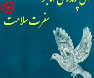 دانلود آهنگ آهنگ ای پرنده مهاجر از سیاوش قمیشی به همراه متن ترانه