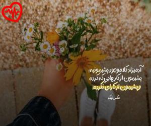 کاور آهنگ  سیاوش قمیشی توهم از Siavash Ghomayshi به همراه متن ترانه اثر Siavash Ghomayshi