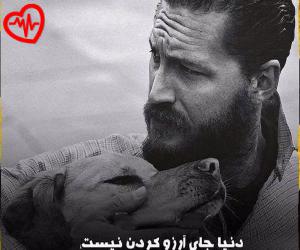 دانلود آهنگ آهنگ نقطه ضعف از سینا پرهیز به همراه متن ترانه