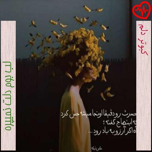 آهنگ کبوتر دلم از لب بوم دلت نمیپره به همراه متن ترانه آهنگ کبوتر دلم از لب بوم دلت نمیپره به همراه متن ترانه