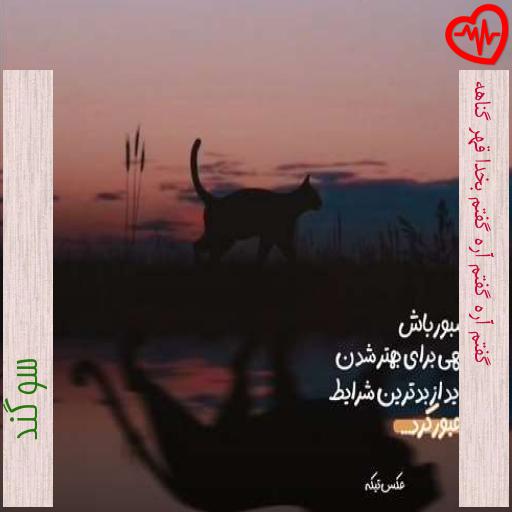 آهنگ گفتم آره گفتم آره گفتم بخدا قهر گناهه از سوگند به همراه متن ترانه آهنگ گفتم آره گفتم آره گفتم بخدا قهر گناهه از سوگند به همراه متن ترانه