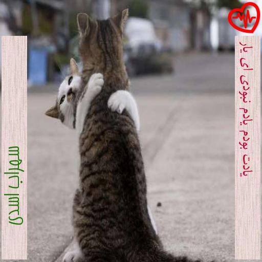 آهنگ یادت بودم یادم نبودی ای یار از سهراب اسدی به همراه متن ترانه آهنگ یادت بودم یادم نبودی ای یار از سهراب اسدی به همراه متن ترانه