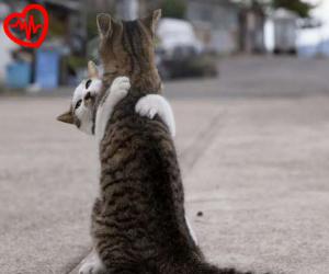 دانلود آهنگ آهنگ یادت بودم یادم نبودی ای یار از سهراب اسدی به همراه متن ترانه