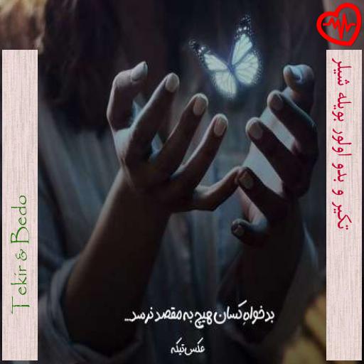 آهنگ تکیر و بدو اولور بویله شیلر از Tekir & Bedo به همراه متن ترانه آهنگ تکیر و بدو اولور بویله شیلر از Tekir & Bedo به همراه متن ترانه