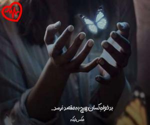 دانلود آهنگ آهنگ  تکیر و بدو اولور بویله شیلر از Tekir & Bedo به همراه متن ترانه - کاور اصلی