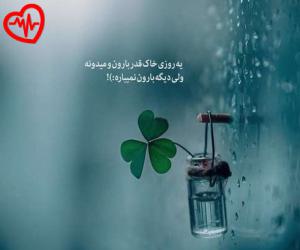 دانلود آهنگ آهنگ لیلا فروهر به نام تو که از عاشقی خیری ندیدی به همراه متن ترانه - کاور اصلی