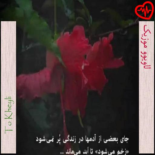 آهنگ لاویوو موزیک از To Kheyli  به همراه متن ترانه