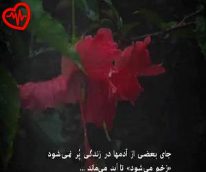 دانلود آهنگ آهنگ لاویوو موزیک از To Kheyli  به همراه متن ترانه - کاور اصلی