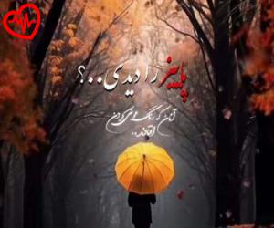 کاور آهنگ Chetori از Tohi به همراه متن ترانه اثر Tohi