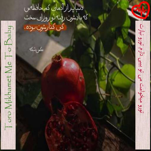 آهنگ تورو میخوامت می تو بیبی دارم تورو نیازت از Toro Mikhamet Me To Baby به همراه متن ترانه آهنگ تورو میخوامت می تو بیبی دارم تورو نیازت از Toro Mikhamet Me To Baby به همراه متن ترانه