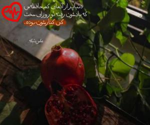 دانلود آهنگ آهنگ  تورو میخوامت می تو بیبی دارم تورو نیازت از Toro Mikhamet Me To Baby به همراه متن ترانه - کاور اصلی