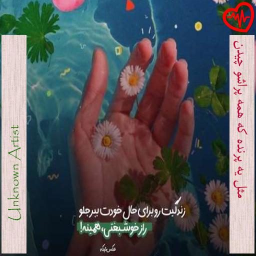 آهنگ مثل یه پرنده که همه پراشو چیدن از Unknown Artist به همراه متن ترانه آهنگ مثل یه پرنده که همه پراشو چیدن از Unknown Artist به همراه متن ترانه