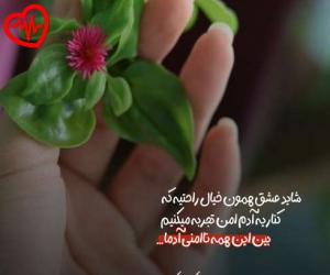 دانلود آهنگ آهنگ  تلخم همچو شراب از Unknown Artist به همراه متن ترانه - کاور اصلی