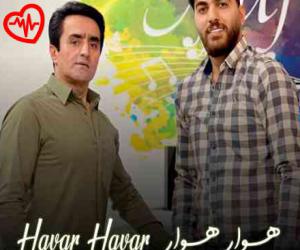 دانلود آهنگ آهنگ عاشق دل هوار هوار از وحید حیدری به همراه متن ترانه