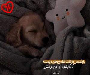دانلود آهنگ آهنگ واسه دختر شما خواستگارای اومدن از حسن شماعی زاده به همراه متن ترانه