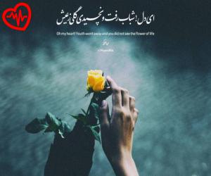 کاور آهنگ ای آدینا گویمادیغیم از وفا شریفوا و وصال علی اف به همراه متن ترانه اثر وفا شریفوا و وصال علی اف