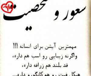 کاور آهنگ یاس نتیجه از جمیع داده ها به همراه متن ترانه اثر جمیع داده ها