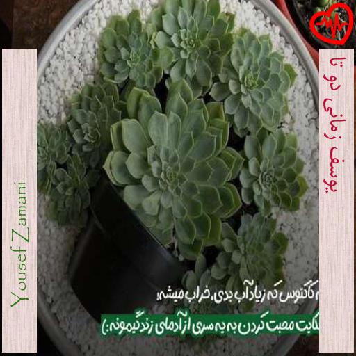 آهنگ یوسف زمانی دو تا از Yousef Zamani به همراه متن ترانه آهنگ یوسف زمانی دو تا از Yousef Zamani به همراه متن ترانه