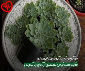دانلود آهنگ آهنگ  یوسف زمانی دو تا از Yousef Zamani به همراه متن ترانه