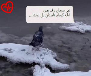 کاور آهنگ فیکریم گینه تمام سنین یانیندا گلجیم گلجیم گل دسن از صدای زن به همراه متن ترانه اثر صدای زن