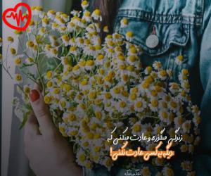 کاور آهنگ برانکارد بیارید منو روش بزارید از زن اینستا به همراه متن ترانه اثر زن اینستا