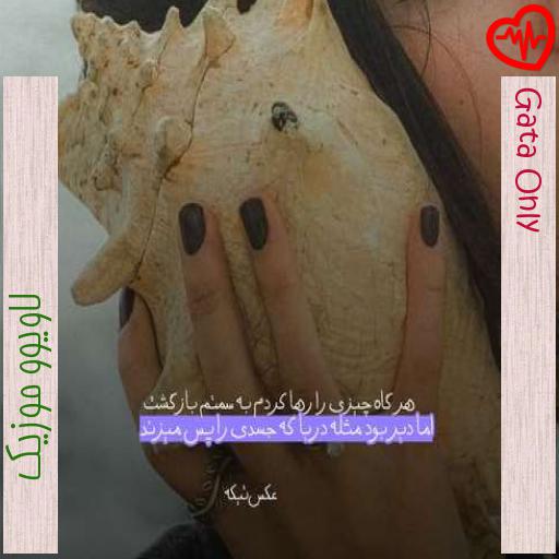 آهنگ Gata Only از لاویوو موزیک به همراه متن ترانه آهنگ Gata Only از لاویوو موزیک به همراه متن ترانه
