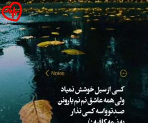 دانلود آهنگ آهنگ Hamin Boodeh از لاویوو موزیک به همراه متن ترانه - کاور اصلی