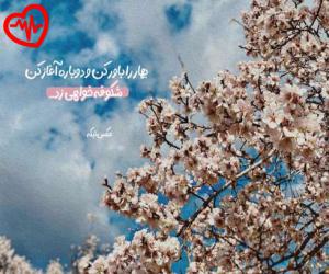 دانلود آهنگ آهنگ Lafzat از لاویوو موزیک به همراه متن ترانه - کاور اصلی