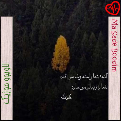 آهنگ Ma Sade Boodim از لاویوو موزیک به همراه متن ترانه آهنگ Ma Sade Boodim از لاویوو موزیک به همراه متن ترانه