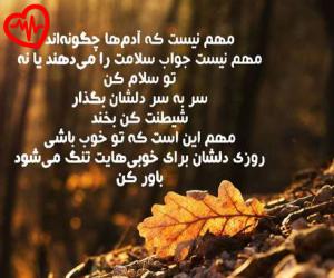 دانلود آهنگ آهنگ To Ey از لاویوو موزیک به همراه متن ترانه - کاور اصلی