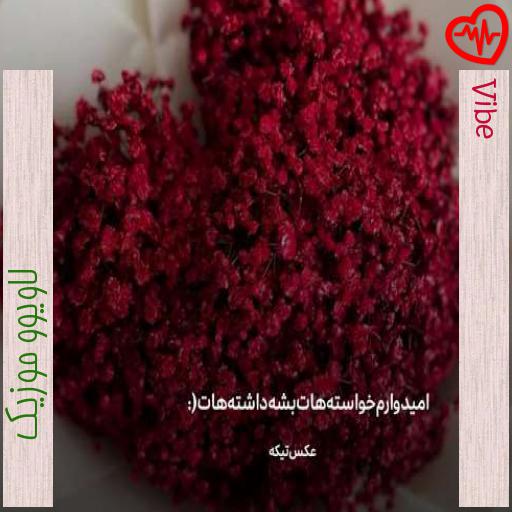 آهنگ Vibe از لاویوو موزیک به همراه متن ترانه آهنگ Vibe از لاویوو موزیک به همراه متن ترانه