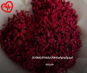 دانلود آهنگ آهنگ Vibe از لاویوو موزیک به همراه متن ترانه - کاور اصلی
