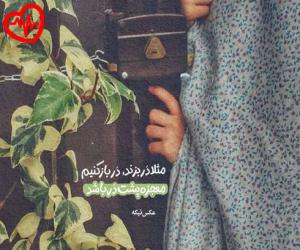 دانلود آهنگ آهنگ Zadi Zogamo از لاویوو موزیک به همراه متن ترانه - کاور اصلی